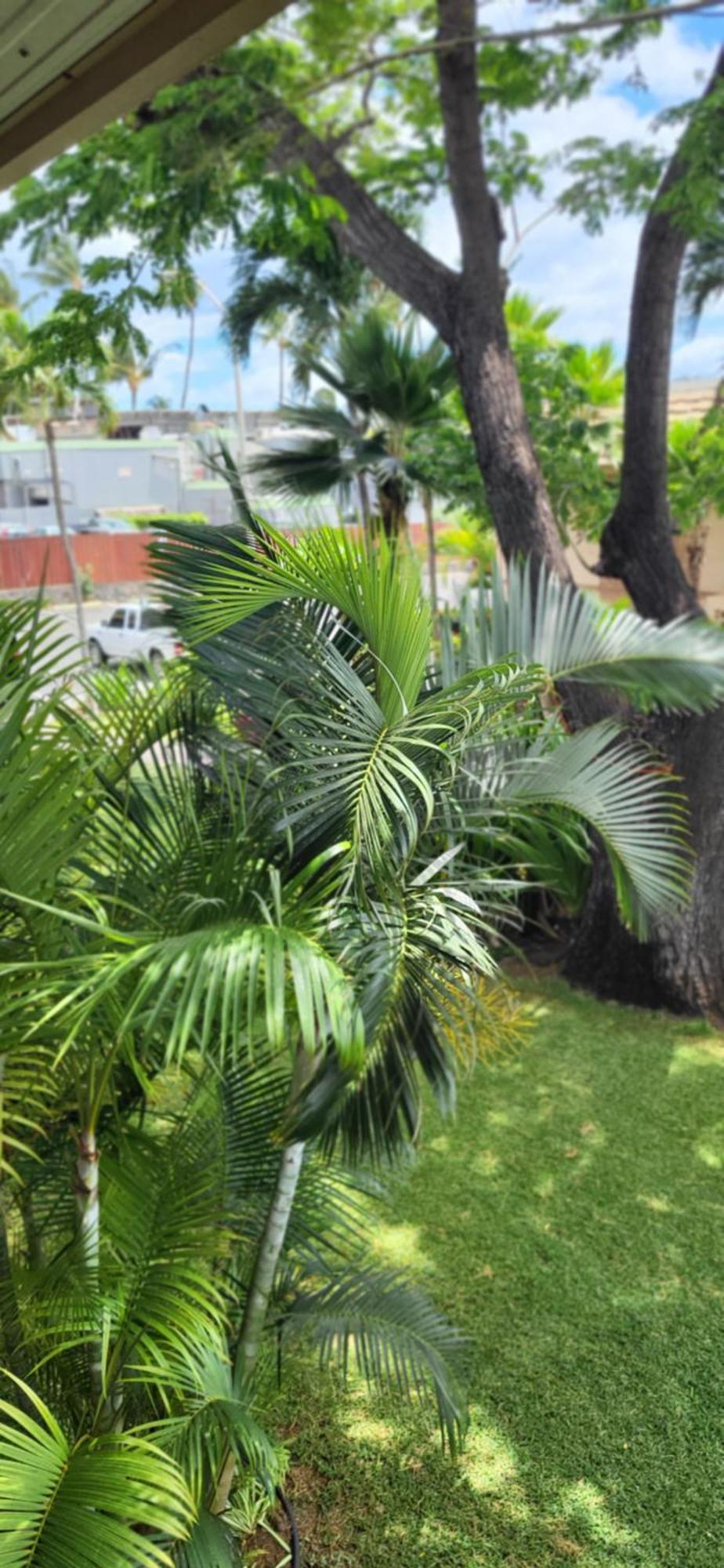 Kihei Kai Nani Resort Kültér fotó