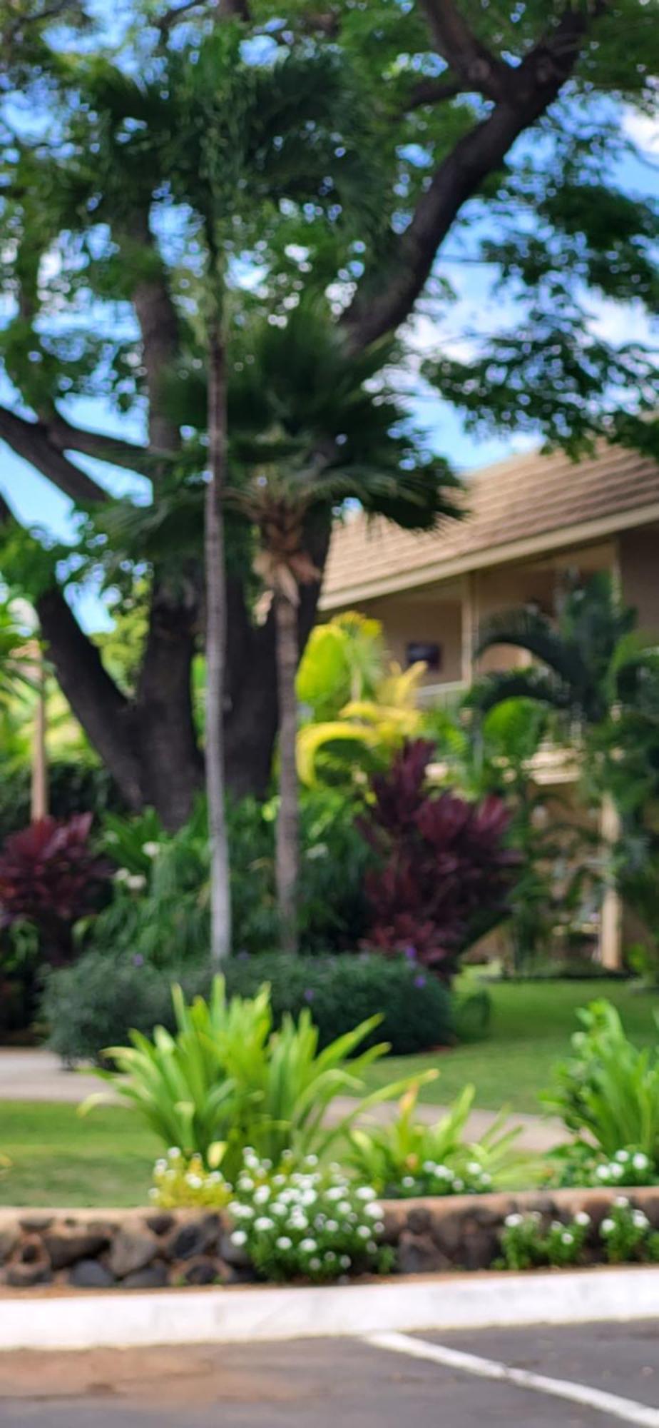 Kihei Kai Nani Resort Kültér fotó