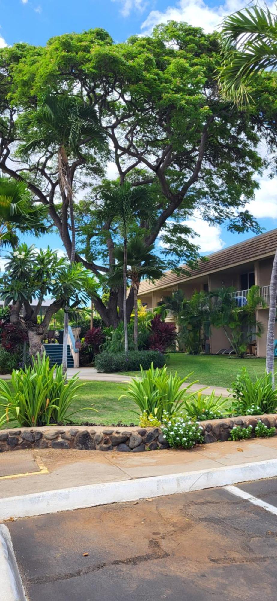 Kihei Kai Nani Resort Kültér fotó